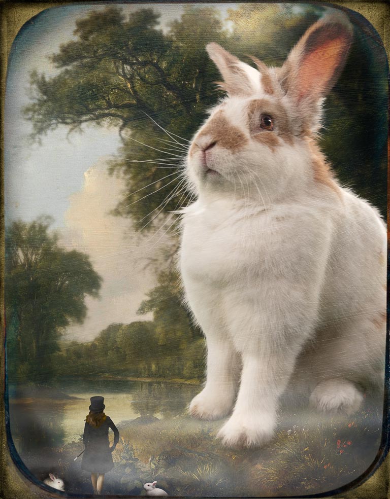Rabbit Trick by Corinne Geertsen